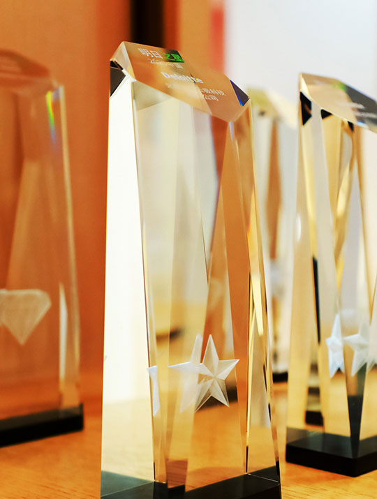 Awarded the 2020 Deloitte China Rising Stars