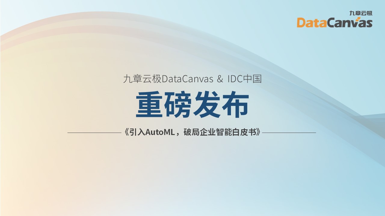 DataCanvas&IDC releases the white paper 
